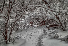 Занесённые снегом. / Сокольники.