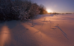 Снежно-зимняя с зайцами / Панорамка 2х3