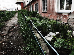 Палисадник / 2015-05-19-124-C00-036(80)