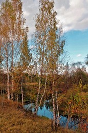 Осень везде / &quot; &quot; &quot;