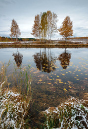 Не мое отраженье / Осенние пейзажи.