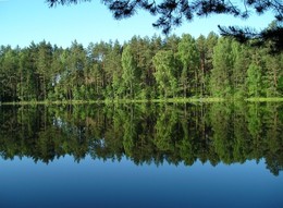 Не мое отраженье / Беларусь. Ландшафтно-ботанический заказник Голубые озёра. Сморгонь.