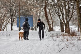 Прогулка. / Фотограф, собака, лыжник, парк...