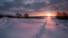 Немного солнца на рассвете / Зима, берег Волги. Короткое явление солнца на хмуром рассвете.