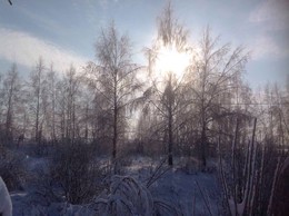 Бодрое утро / Зима, утро, солнце