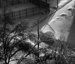 Тайная жизнь заднего двора / ***