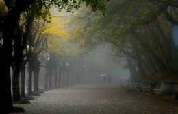 Листопад....... / Железноводск. Октябрь