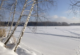 Берёзовый берег / мороз