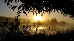 Утренний пейзаж. / ***