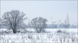 Зима, деревья, монастырь... / Россия. Московская обл. Коломна. 
Богоявленский Старо-Голутвин монастырь 

февраль 2018