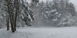 Снег на пруду... / В парке Кусково...