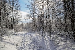 после снегопада / Татарстан