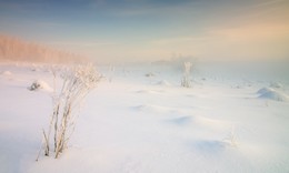 Бодрое утро / В гостях у февраля.