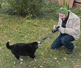 Бодрое утро / Конец фотосессии.