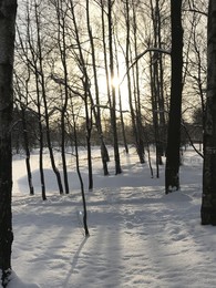 Бодрое утро / Утро в Удельном парке