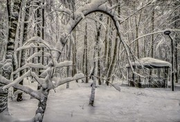 Беседка в парке. / Сокольники.