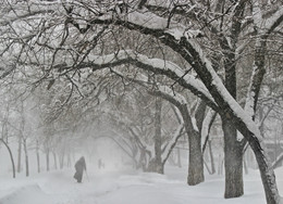 А снег все идет... / Московские улицы...