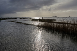 &nbsp; / Fotografiert auf der Hallig Langeneß im Februar 2018.
Das Wasser des Landunter war zwar nicht mehr auf dem höchsten Stand, aber die Hallig war noch überflutet und die Straßen und Wege unpassierbar.