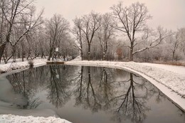 Зима в Луговом парке / ***