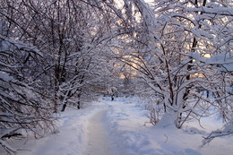 Зимняя дорога / Зимняя дорога