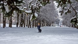 Прогулка в парке. / И был февраль.