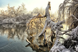 Водяной / Причуды природы.