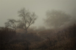 В долине туманов / Туманное утро
