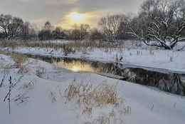 Солнышко купается / природа