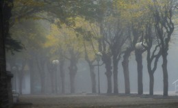 В тумане осеннем....... / Железноводск. Октябрь