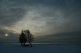 Зимний день у моря.... / Петербург-Солнечное. Январь