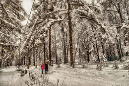 Прогулки по парку. / Сокольники.