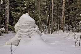ВЕСНА НАСТАЛА / СНЕЖНЫЕ ЗАРИСОВКИ В ЛЕСУ