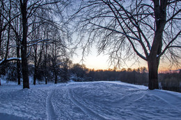 Зимний вечер / Зимний вечер в парке