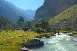 Утро / Осеннее утро в Узунколе