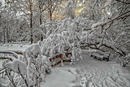 Укромное место. / Сокольники.