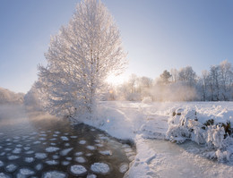 Мороз и солнце / Очень холодное и невероятно красивое утром в парке Дрозды, г. Минск