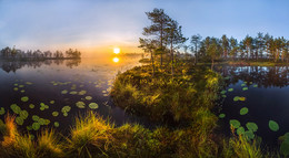 Остров на озере / Летний рассвет на болотистом комплексе. 
Из моего фотоальбома «Магия Ленинградской области».