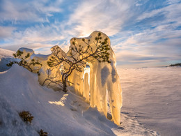 Под тяжестью льда, но не сломлен, дождётся весны / Приглашаю на фототур «Зимняя Ладога».
Карелия. Ладожское озеро. 22 февраля, 2018 год.
Снято фотокамерой среднего формата PENTAX 645Z с объективом HD PENTAX DA 645 28-45mm f/4.5 ED AW SR.