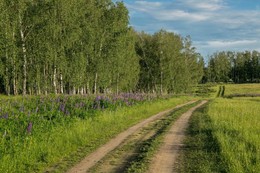 &nbsp; / татарстан,ново-чувашское