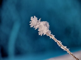 Чупа-чупс / морозные узоры