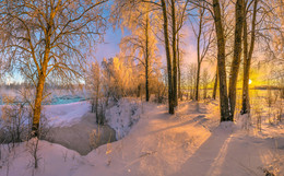 Лес на берегу реки / Север Ленинградской области, 1 марта 2018 год. 
Снято фотокамерой среднего формата PENTAX 645Z с объективом HD PENTAX DA 645 28-45mm f/4.5 ED AW SR.