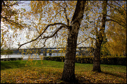 Осенние зарисовки / Осень