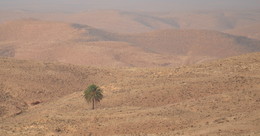 Одиночество / Пустыня Сахара .