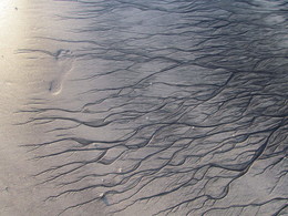 Минимальная пятница / Вот такие рисунки на песке оставляет море на Тенерифе ранним утром