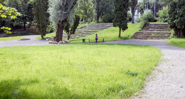 Минимальная пятница / Ботанический сад, лето