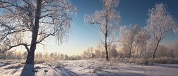 В морозном свете января. / ***