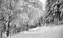 Скоро выйдет солнце / Уходит утренний туман