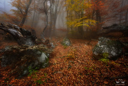 Про осень туманную ... / Осень в Крыму