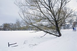 &nbsp; / Зарисовка. Александров. Парк.