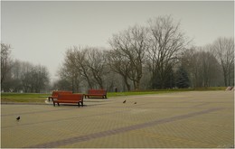 пасмурно / ***